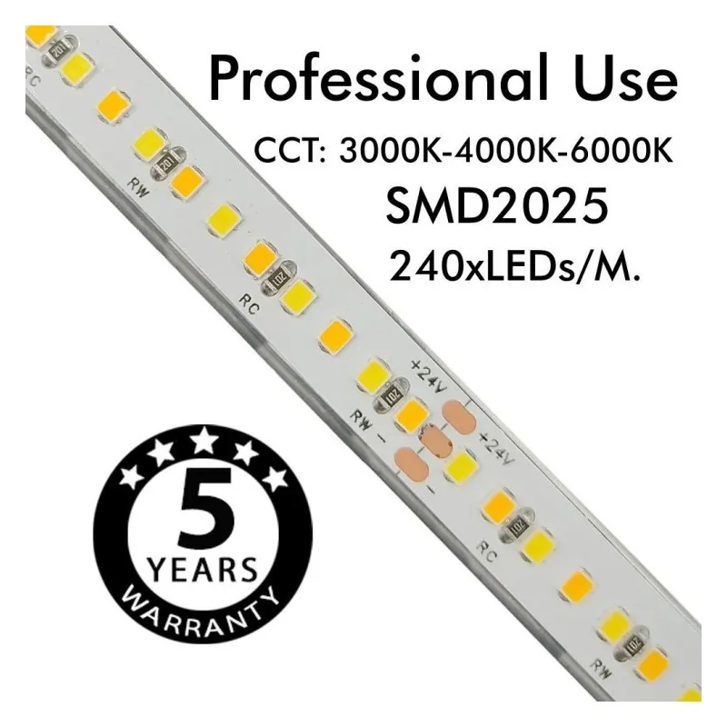 Tira LED 24V | 240xLED/M | 5m | SMD2025 | CCT | 10W/M | IP20