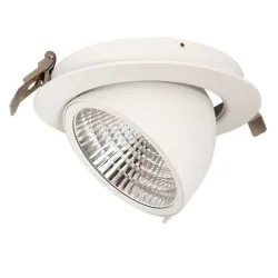 Downlight LED 30W Philips - CertaDrive - Circular Direccionable