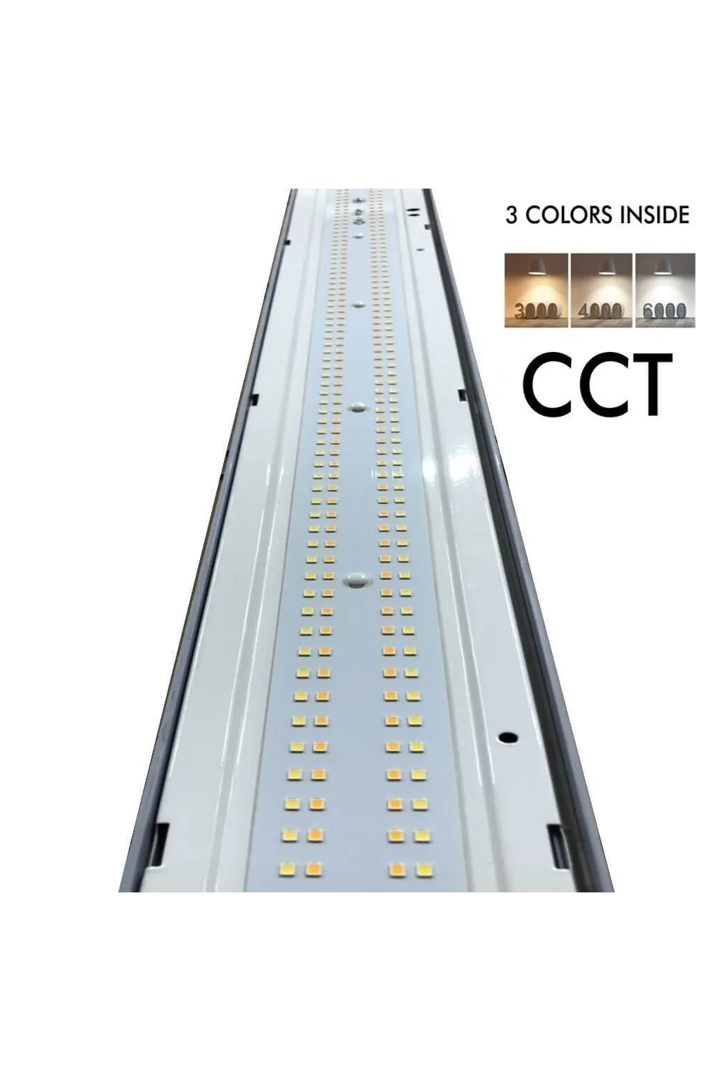 Comprar Regleta Estanca LED 120cm Philips Driver COREPLUS 40W - CCT