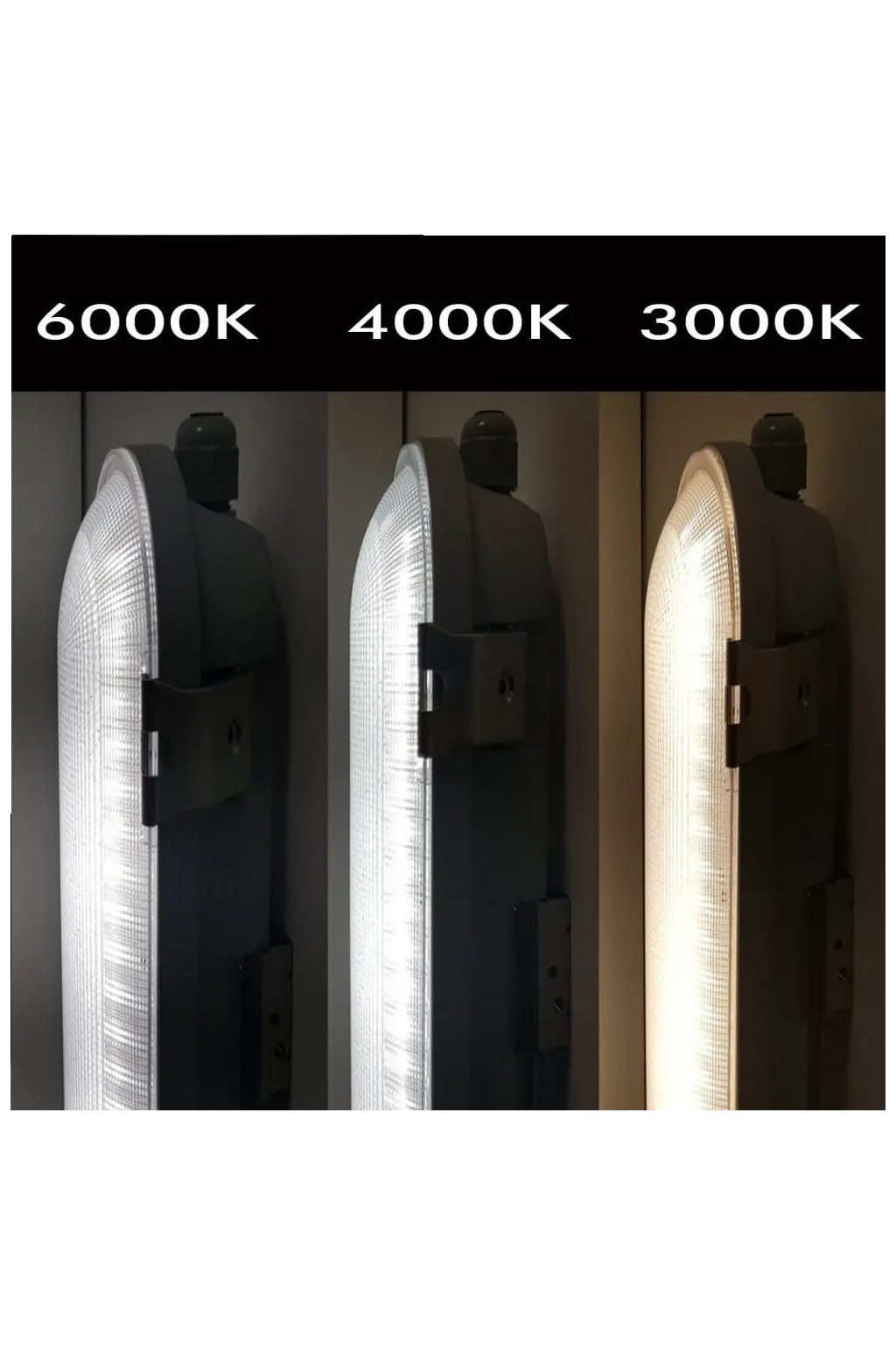 Buy 150cm 55W LED Tri-Proof Light Philips Driver COREPLUS - CCT