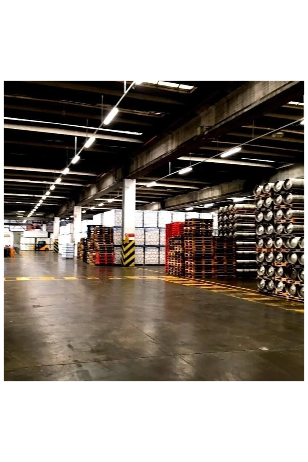 Buy 150cm 55W LED Tri-Proof Light Philips Driver COREPLUS - CCT