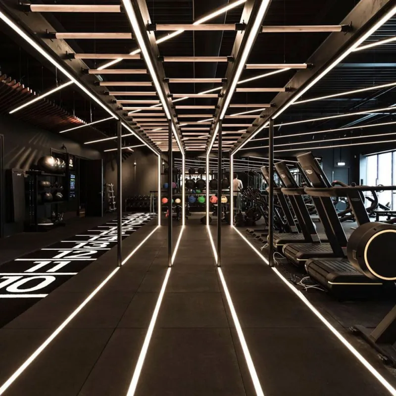 ▷ Buy LED Strips COB 24V 5m 12W/m - Flexible - IP20 Indoor