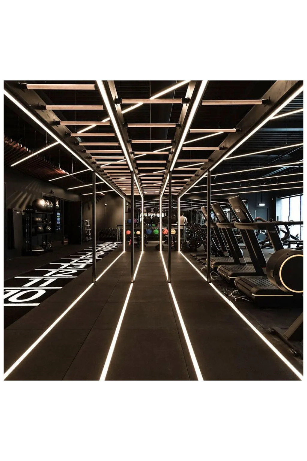 ▷ Buy LED Strips COB 24V 5m 12W/m - Flexible - IP20 Indoor