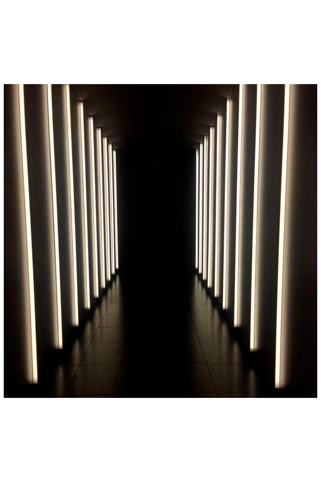 ▷ Acheter Ruban LED COB 24V 5m 12W/m - Flexible - IP20 Intérieur