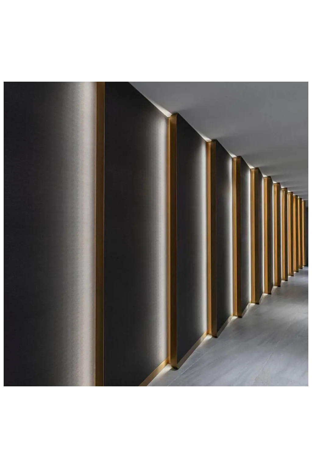 ▷ Buy LED Strips COB 24V 5m 12W/m - Flexible - IP20 Indoor