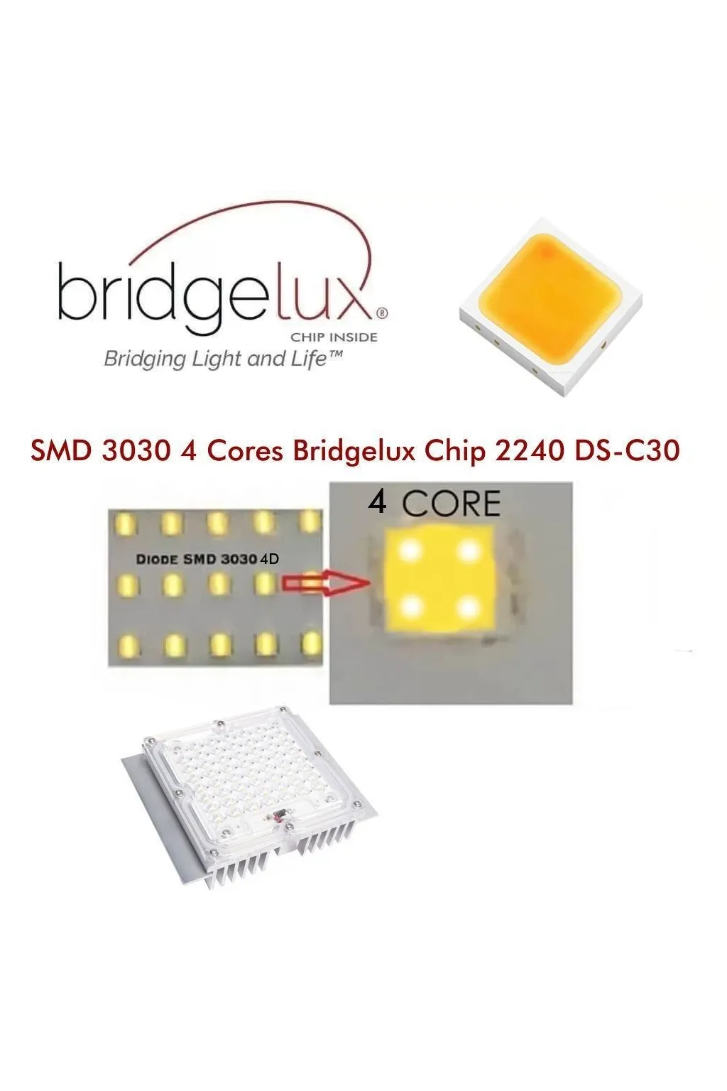 Buy Module LED 40W Street Light LUMILEDS + Steel plate