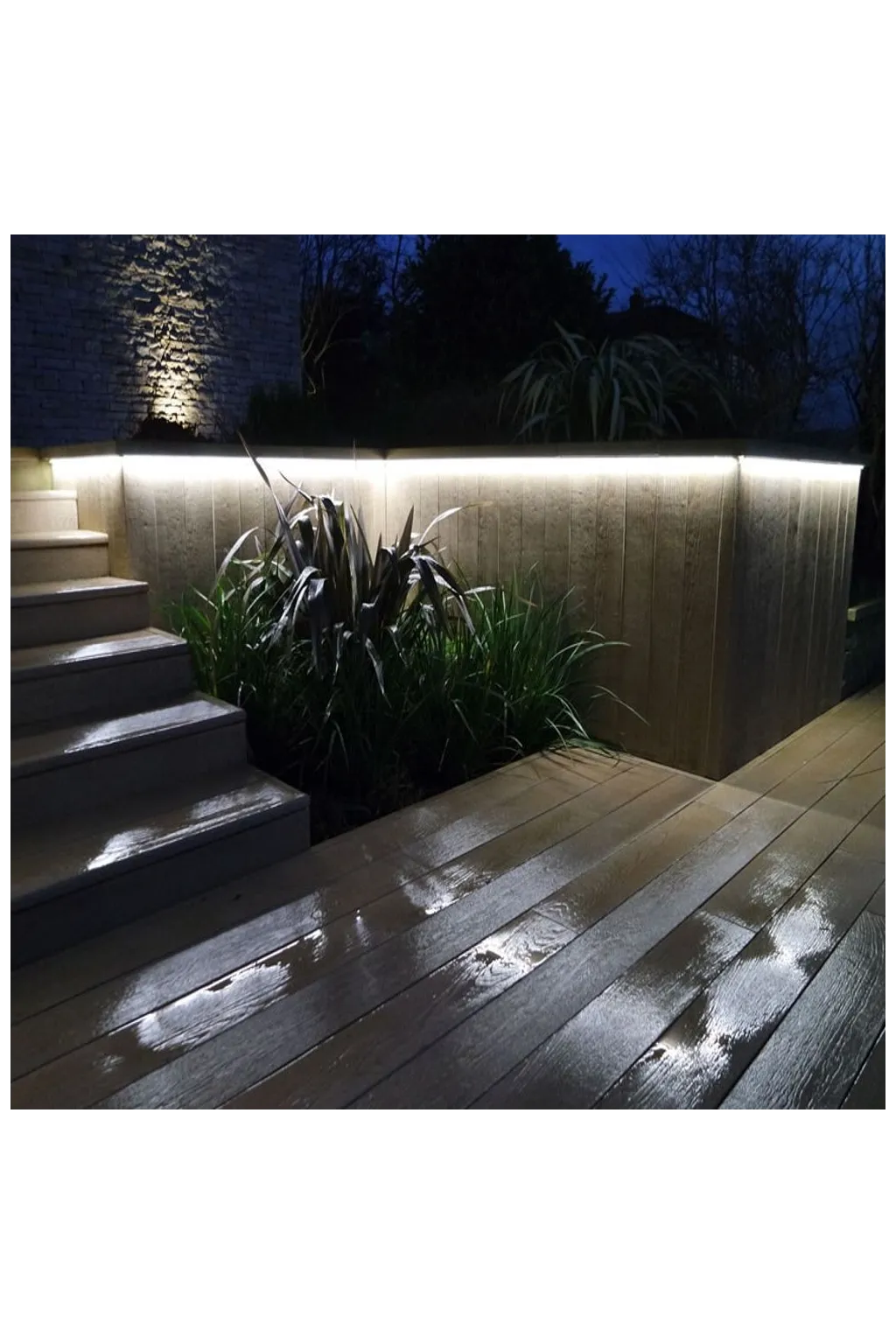 ▷ Buy LED Strips COB 24V 30m IP20 Indoor【Dimmables】- Factorled