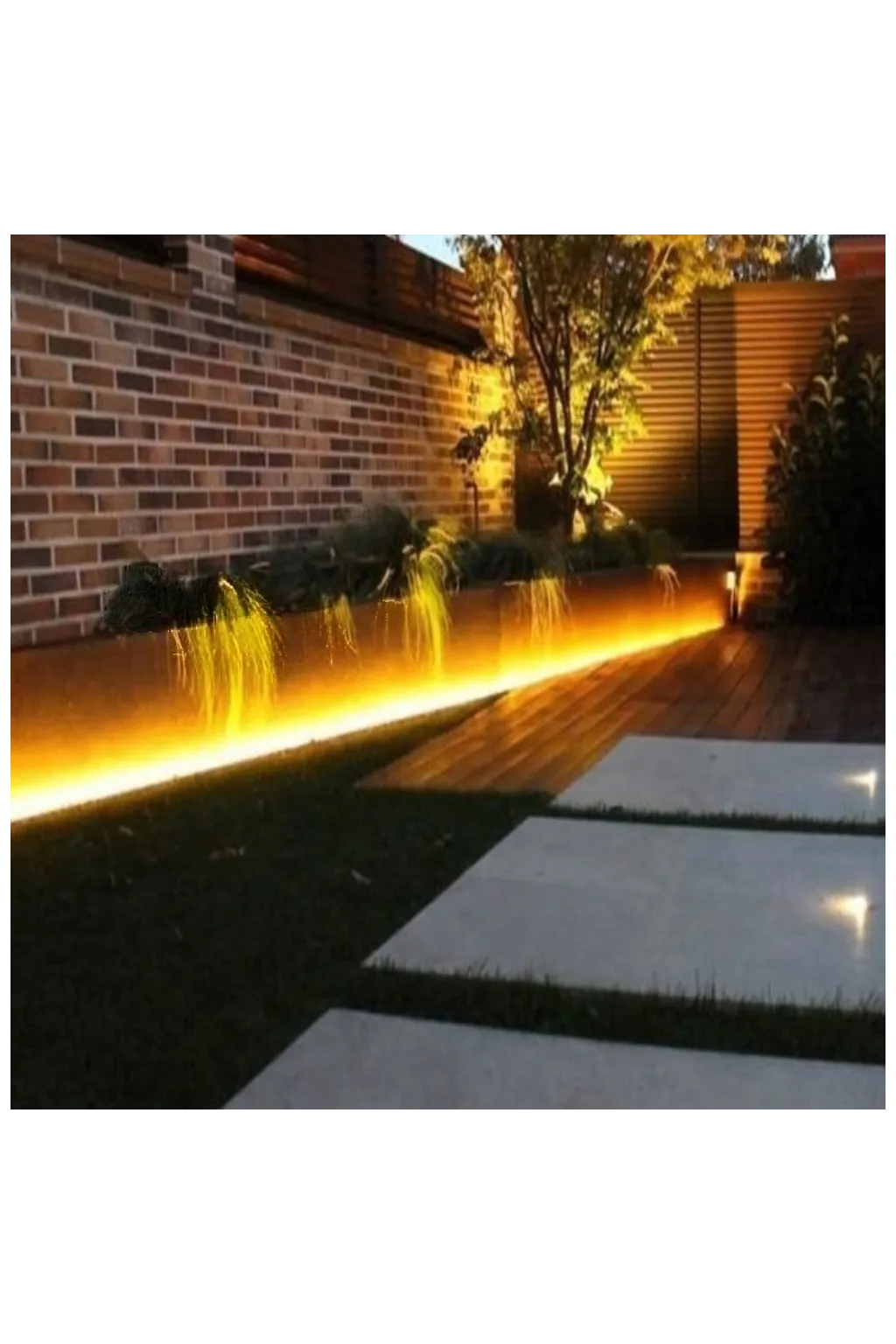 ▷ Buy LED Strips COB 24V 30m IP20 Indoor【Dimmables】- Factorled