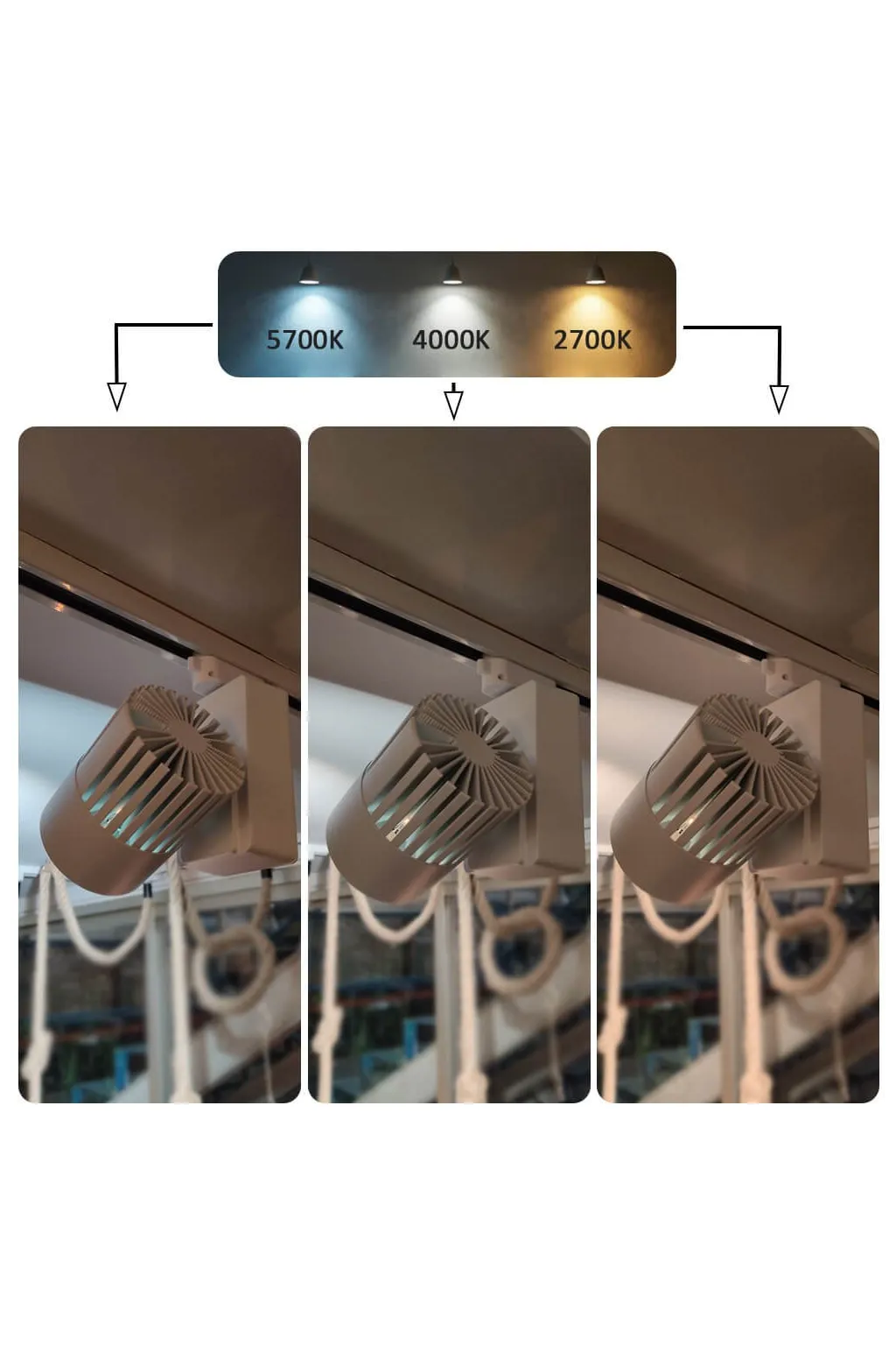 ▷ Spot Led Rail Monophasé GRAZ 40W CRI+98 | Chip Bridgelux | 3CCT