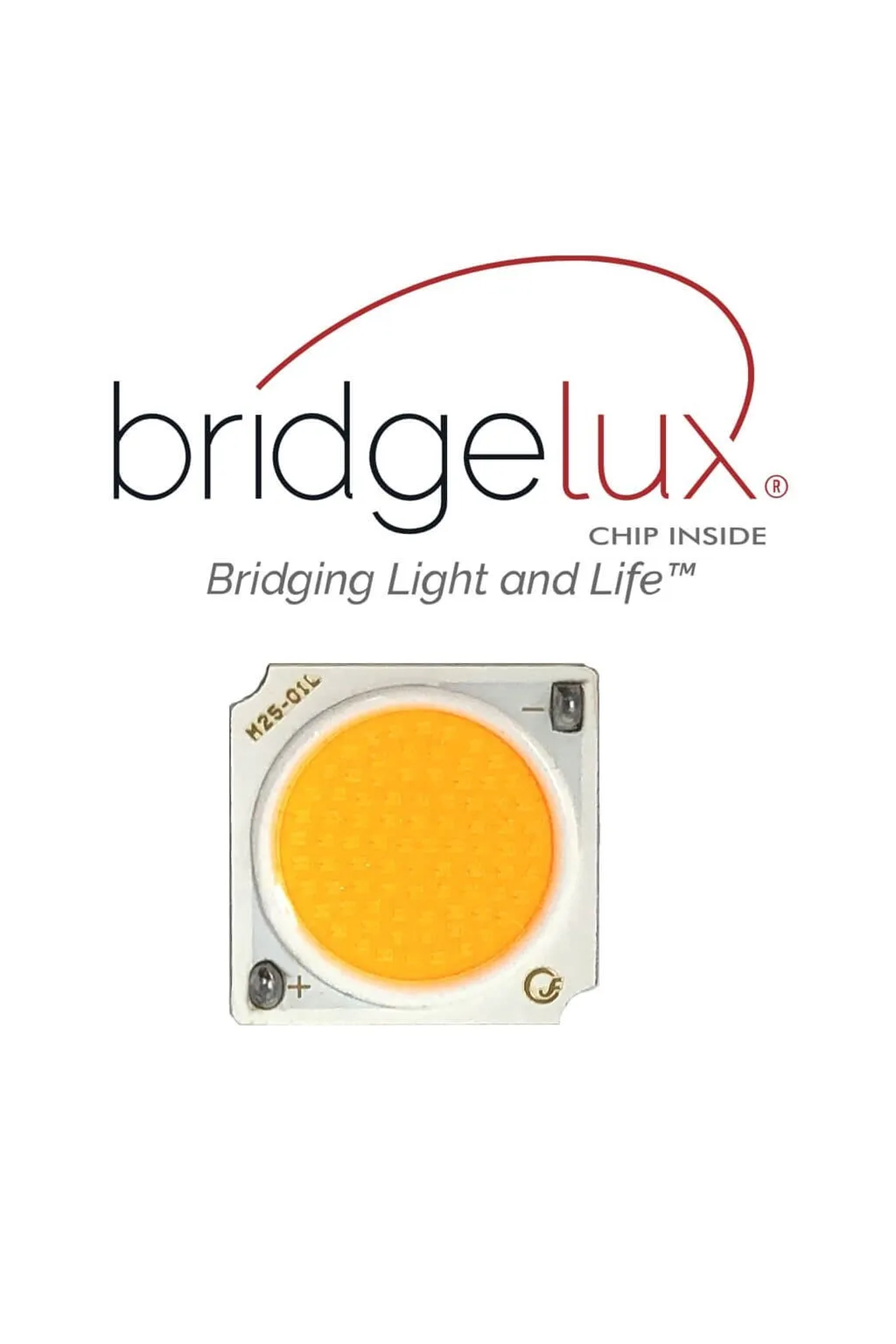 ▷ 1-Phase LED TrackLight GRAZ 40W CRI+98 | Chip Bridgelux | 3CCT