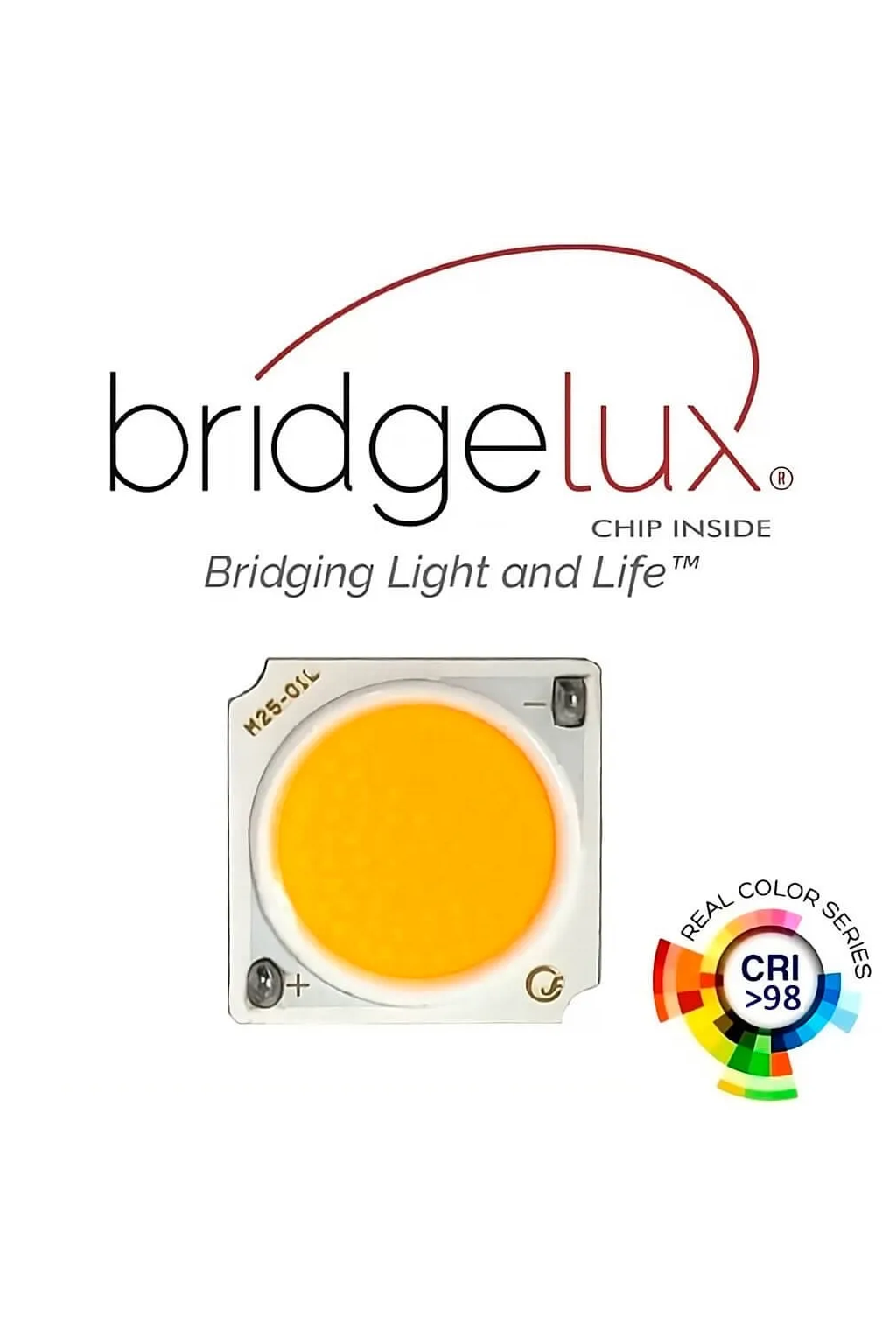 ▷ Acheter Projecteur Rail Monophasé Noir 40W GRAZ | Lumière 3CCT CRI+92