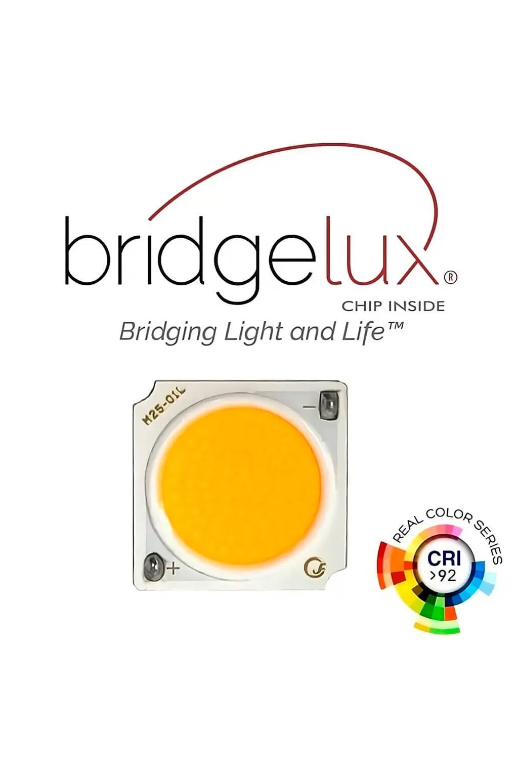 ▷ Buy Black 3-Phase 40W Tracklight GRAZ | 3CCT Light CRI+92