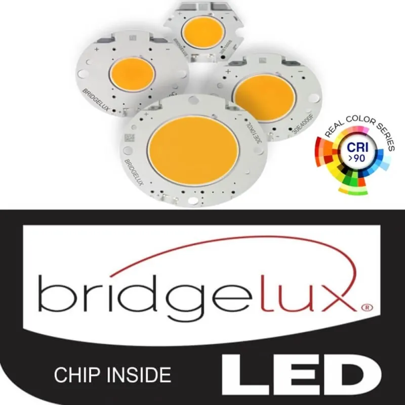 ▷ Buy Black 3-Phase 40W Tracklight GRAZ | 3CCT Light CRI+92