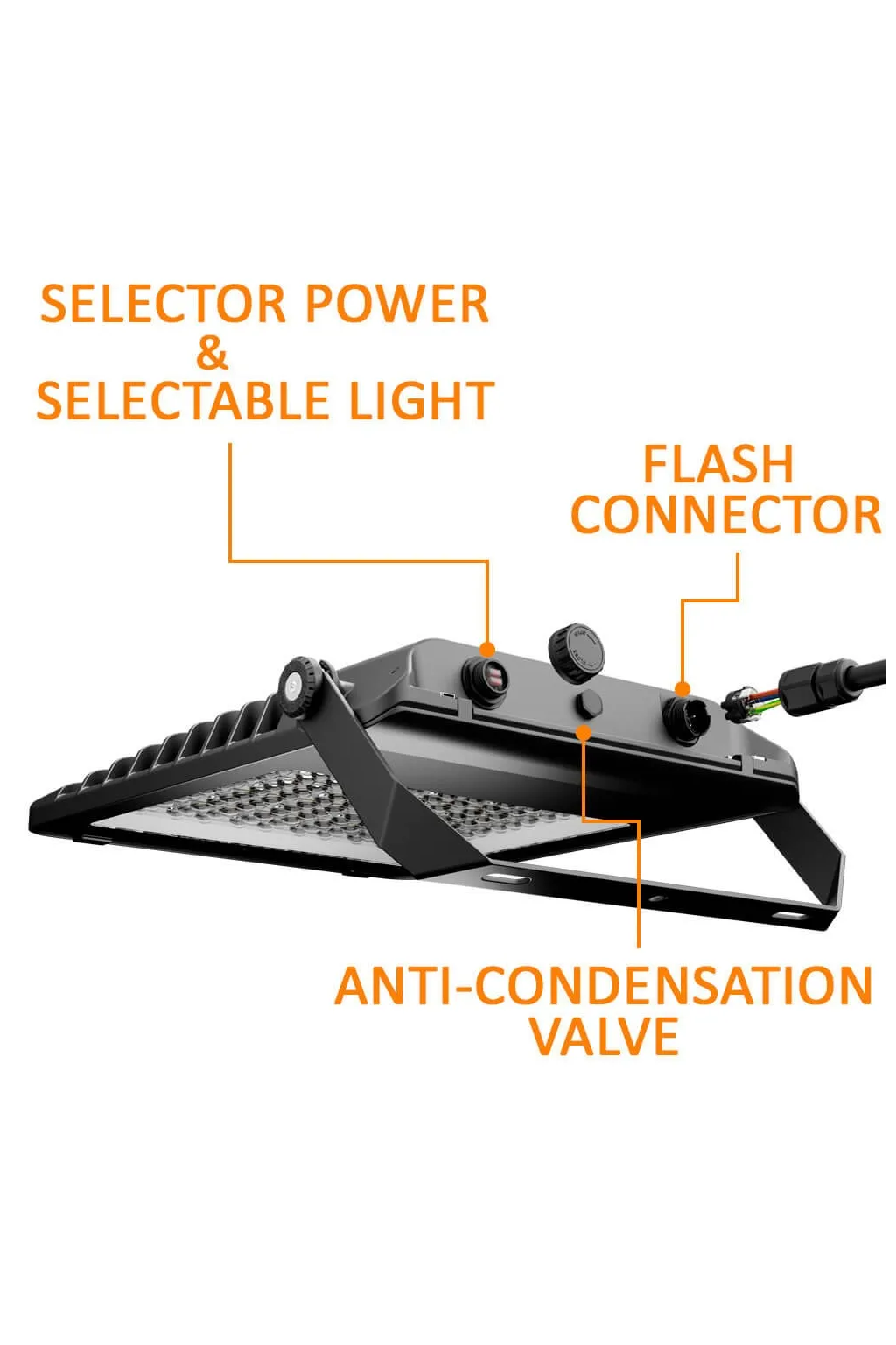 ▷ MAXLITE LED Floodlight 200W | Adjustable Power & 3CCT | IP65