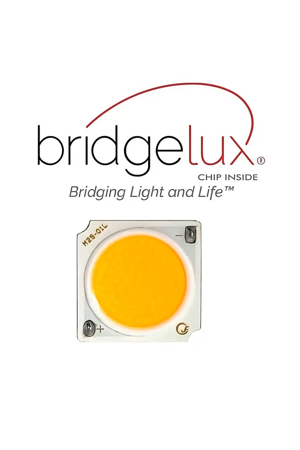 ▷ Acquista Faretto LED 30W PARMA Bianco Binario Monofase - CCT - CRI+92