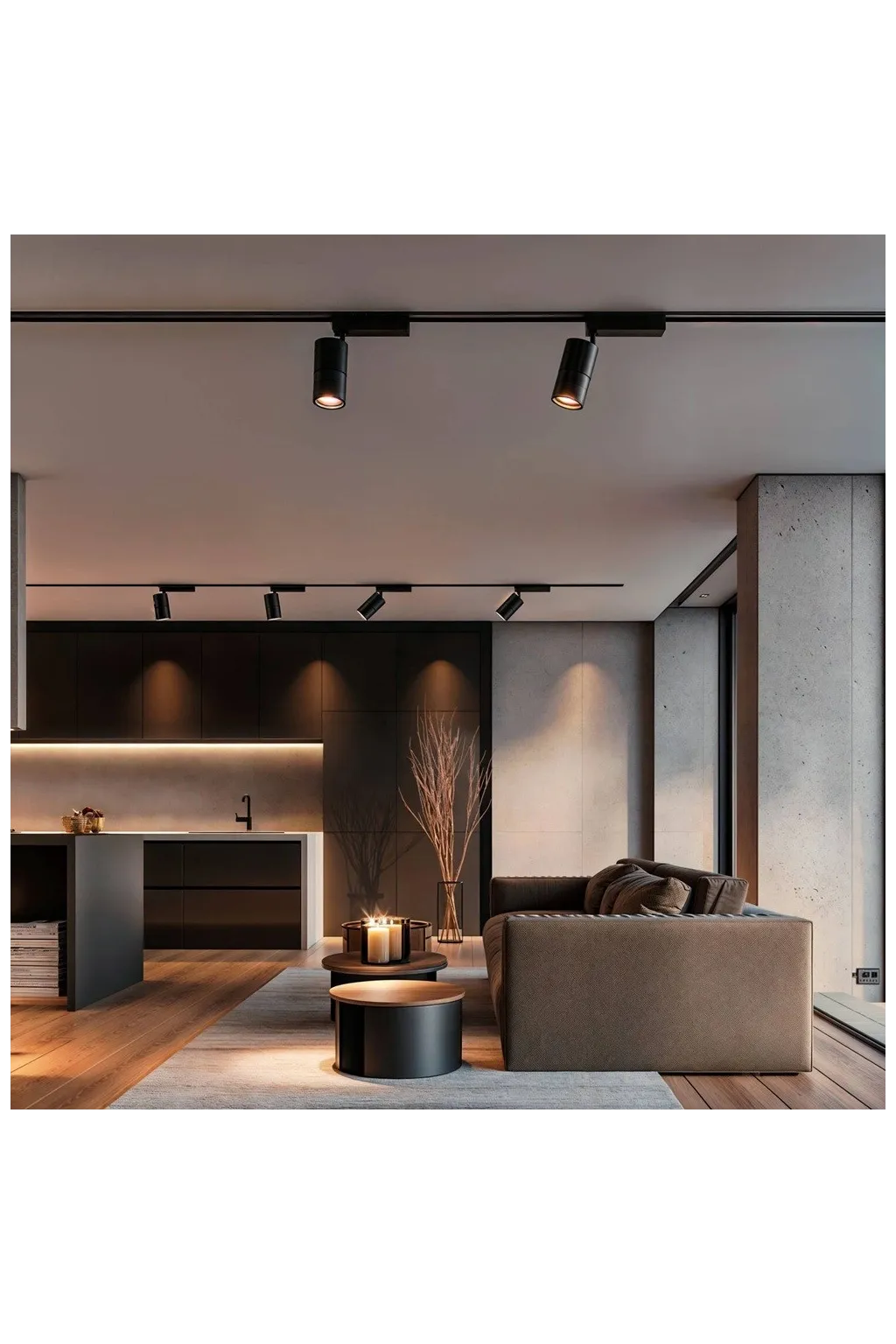 ▷ Acheter Projecteur LED 30W PARMA Blanc Rail Monophasé - CCT - CRI+92 - 48º