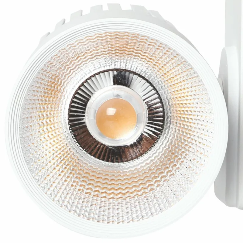 Buy LED Tracklight 40W UPPSALA White PHILIPS Driver 3-PHASE rails - CRI+92
