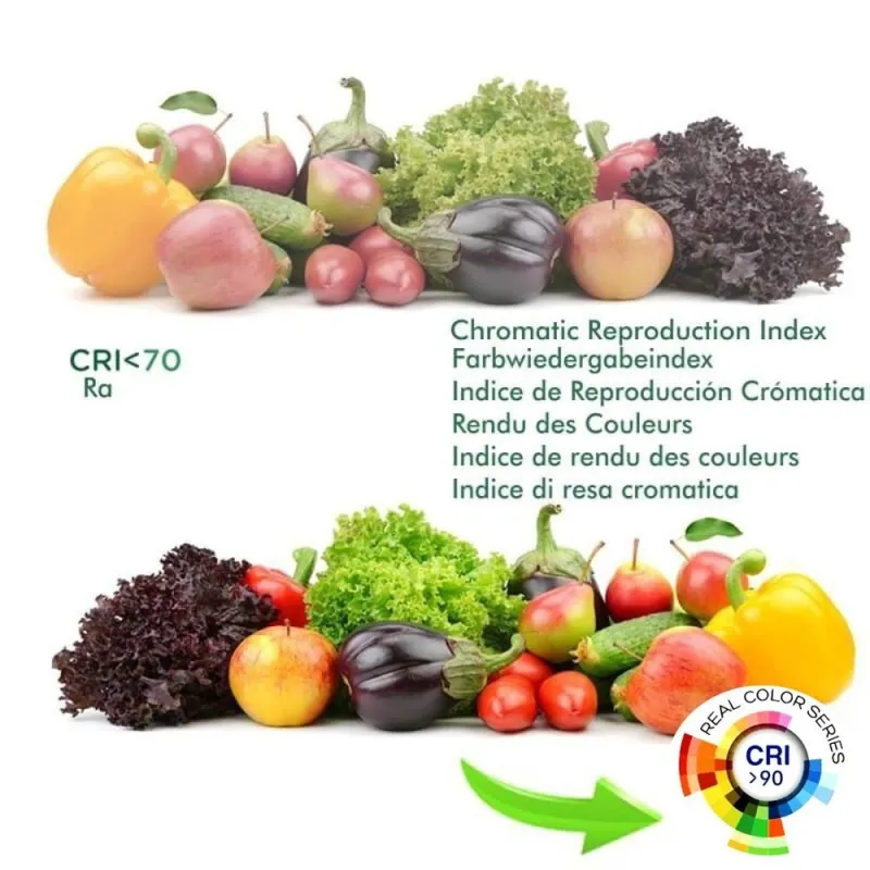 Buy LED Tracklight 40W UPPSALA White PHILIPS Driver 3-PHASE rails - CRI+92