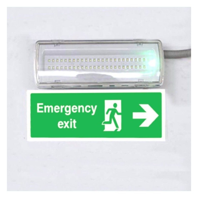 Emergency LED Light 4W IP65 Maintained | Ibérica