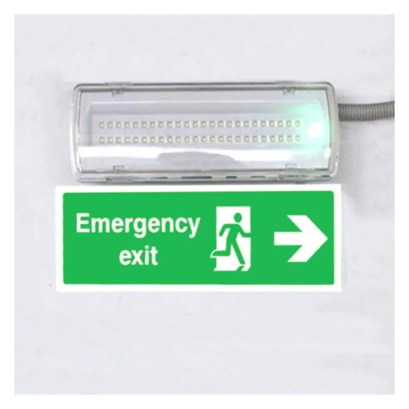 Luz Emergencia LED 4W Kit Techo IP65 | Ibérica