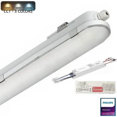 ▷ 20W 60cm COREPLUS EVO LED Waterproof Light | Emergency Light + Radar Sensor