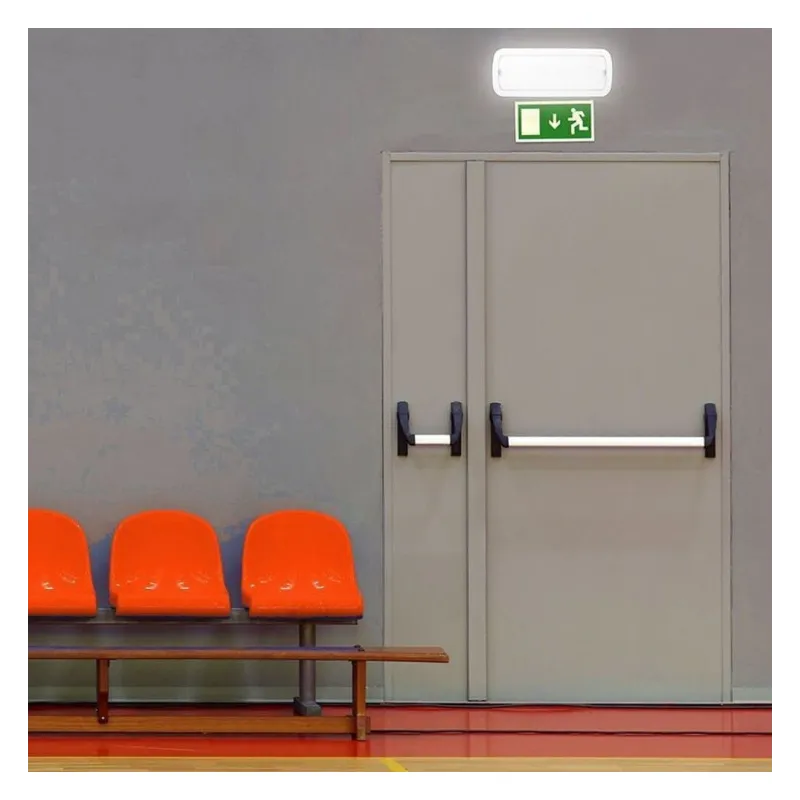 Buy Emergency light 4W Premier Slim