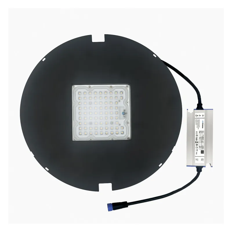 Farola LED 60W New Conic 180Lm/W | Driver Moso Regulable 1-10V y Programable