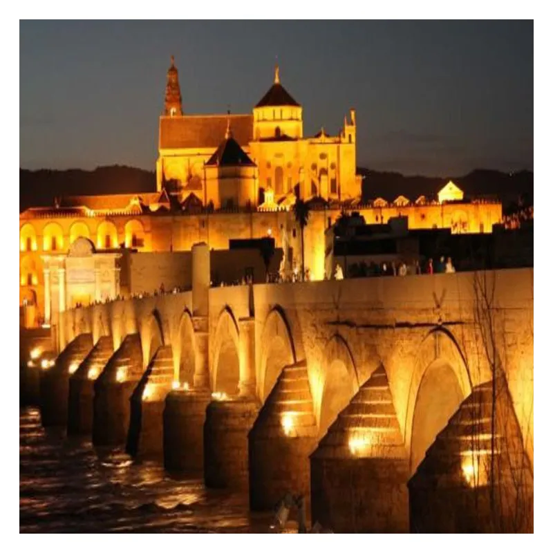 Focus LED 50W projector - Action Pro - Osram Chip Duris E2835