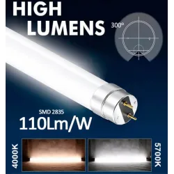Pack 10 Tubos LED T8 18W 120cm Cristal GXtronic 1980lm | Ibérica
