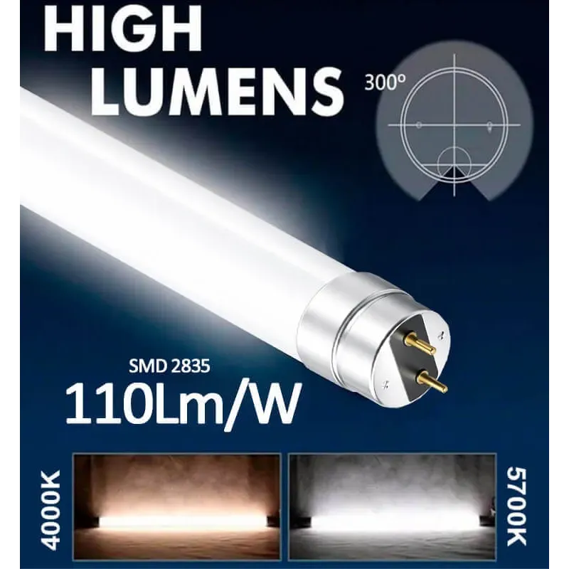 Pack 10 Tubos LED T8 18W 120cm Vidro GXtronic 1980lm | Ibérica