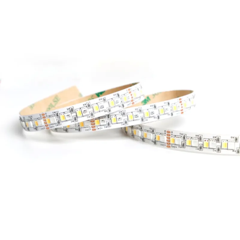 Striscia LED 24V RGB CCT 216 LED/m 10m alta densità