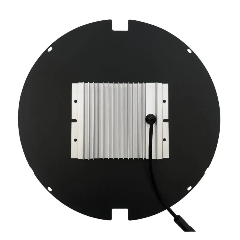 Vista posteriore lampione giardino base circolare dissipatore driver interno