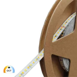 Striscia LED CCT 24V SMD2025 240 LED/m 5m 10W/m IP20 2700K-6500K tunable
