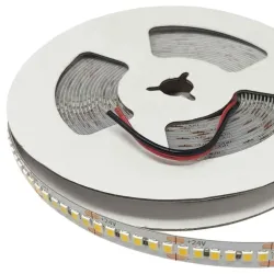 Striscia LED 24V SMD2835 182 LED/m 5m 16W/m IP20 professionale alta densità