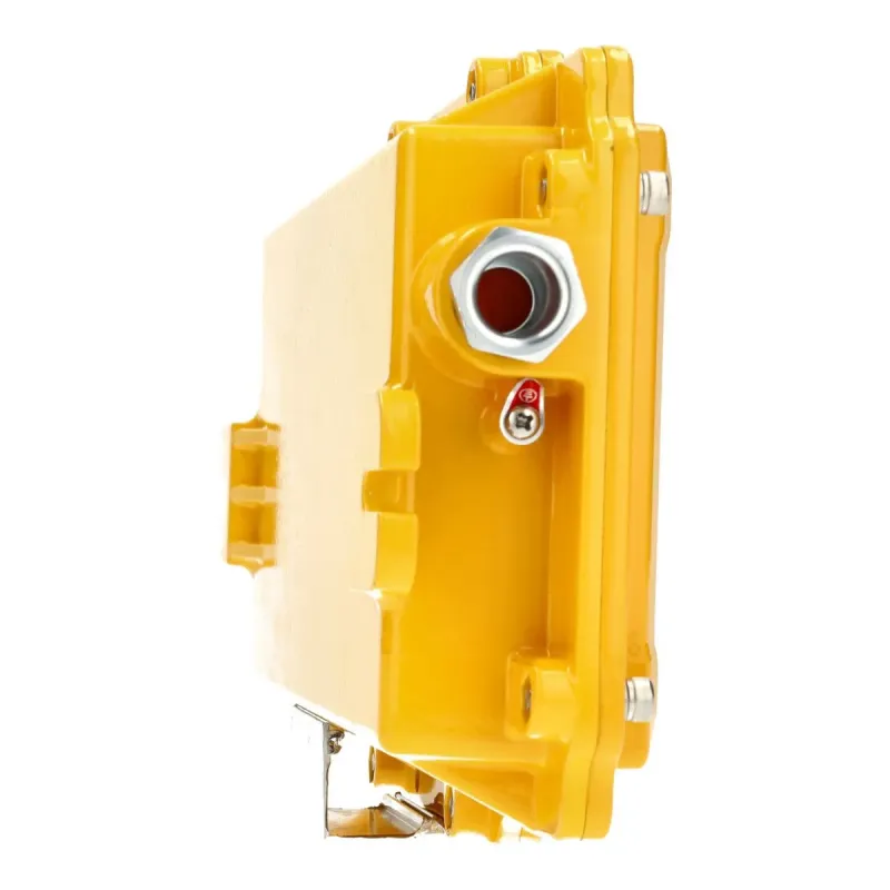 Permanent Emergency Light ATEX 3W IP65 200lm | Ibérica