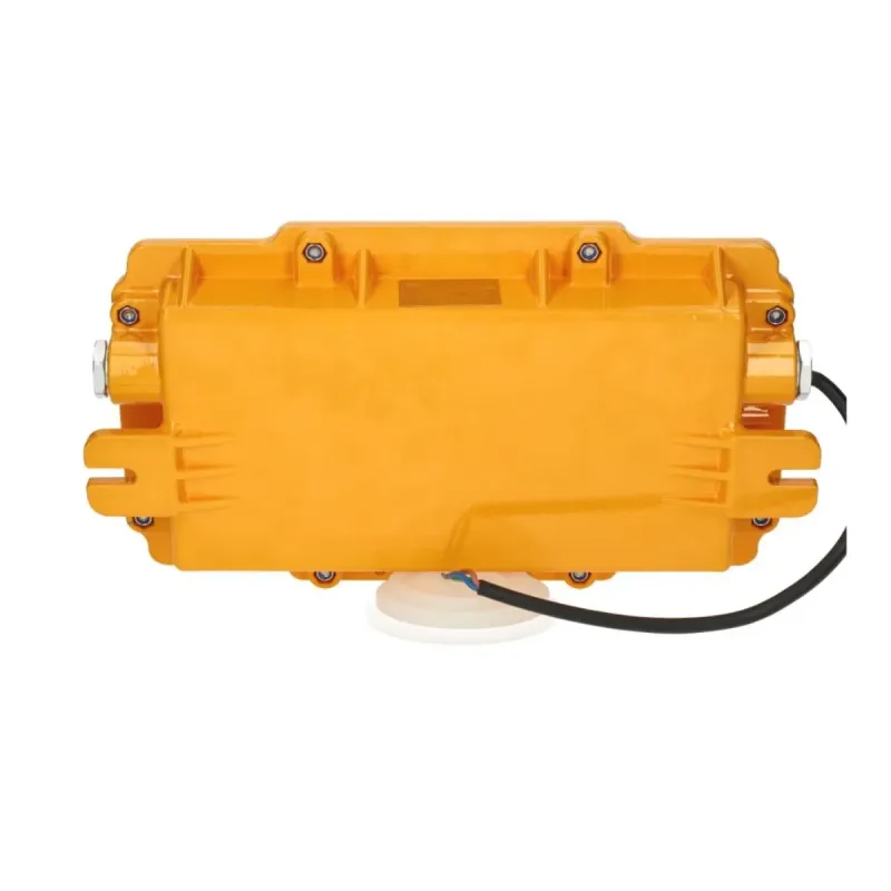 Non-Maintained Emergency Light ATEX 3W IP65 200lm | Ibérica