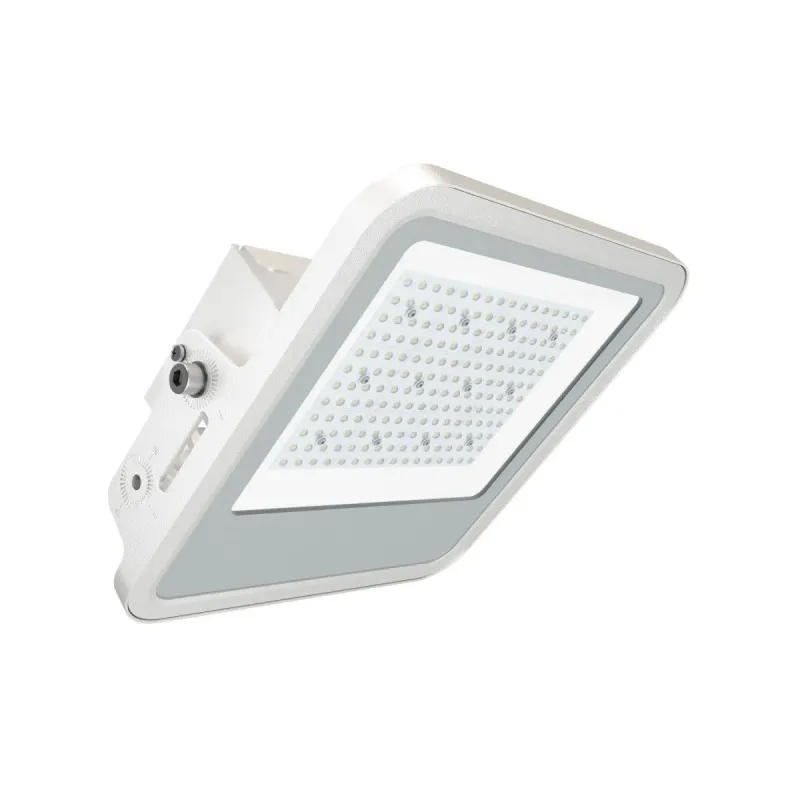 LED Floodlight ATEX 100W IP66 Petrol Stations | Ibérica