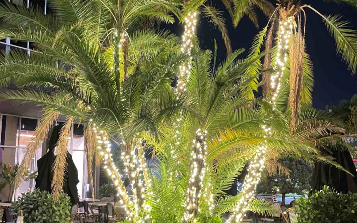 Hotel garden lighting with LED lights among palm trees